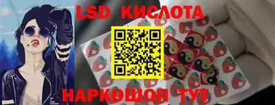 МДПВ Новозыбков