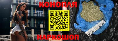 крисы Нальчик