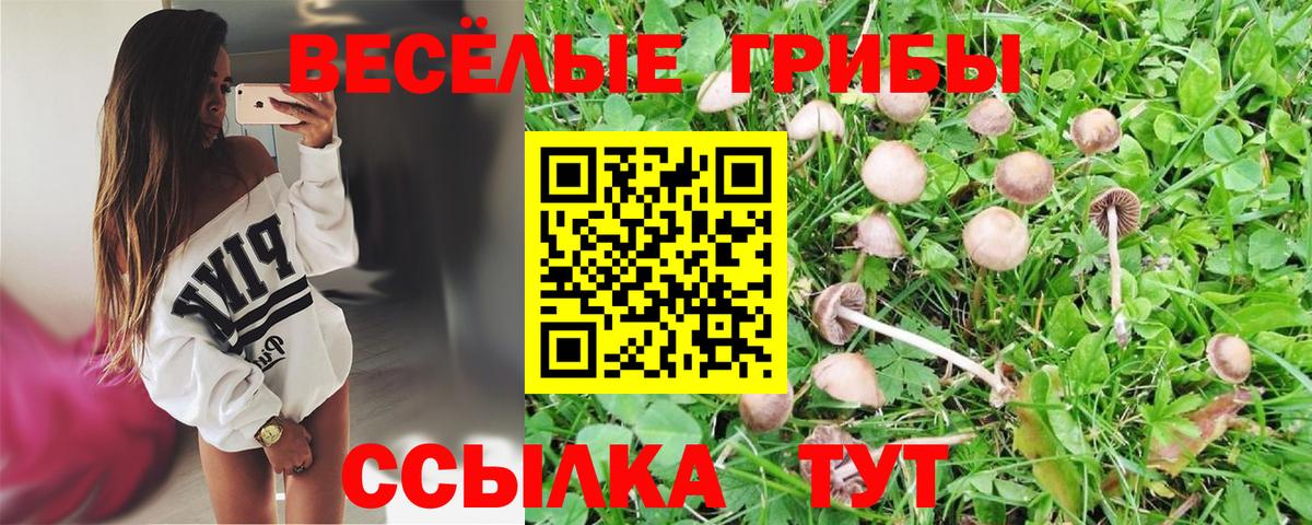 Галлюциногенные грибы ЛСД Сунжа