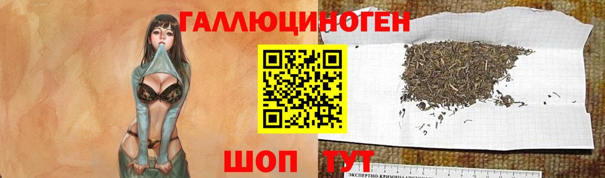Сунжа  Псилоцибиновые грибы Cubensis  Галлюциногенные грибы мицелий  Вход с VPN 